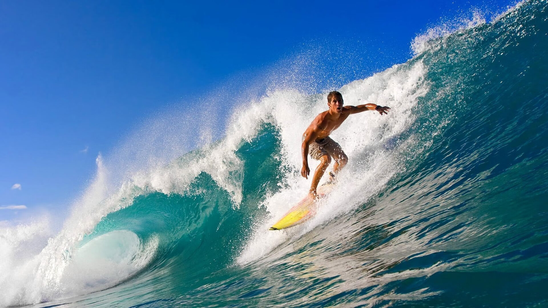 赛事期间的媒体报道亮点集锦,赛事报道怎么写